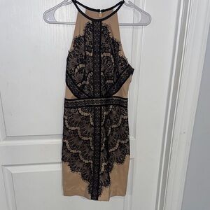 Bebe Women’s Tan Black Lace Dress 2